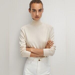 Massimo Dutti Turtleneck